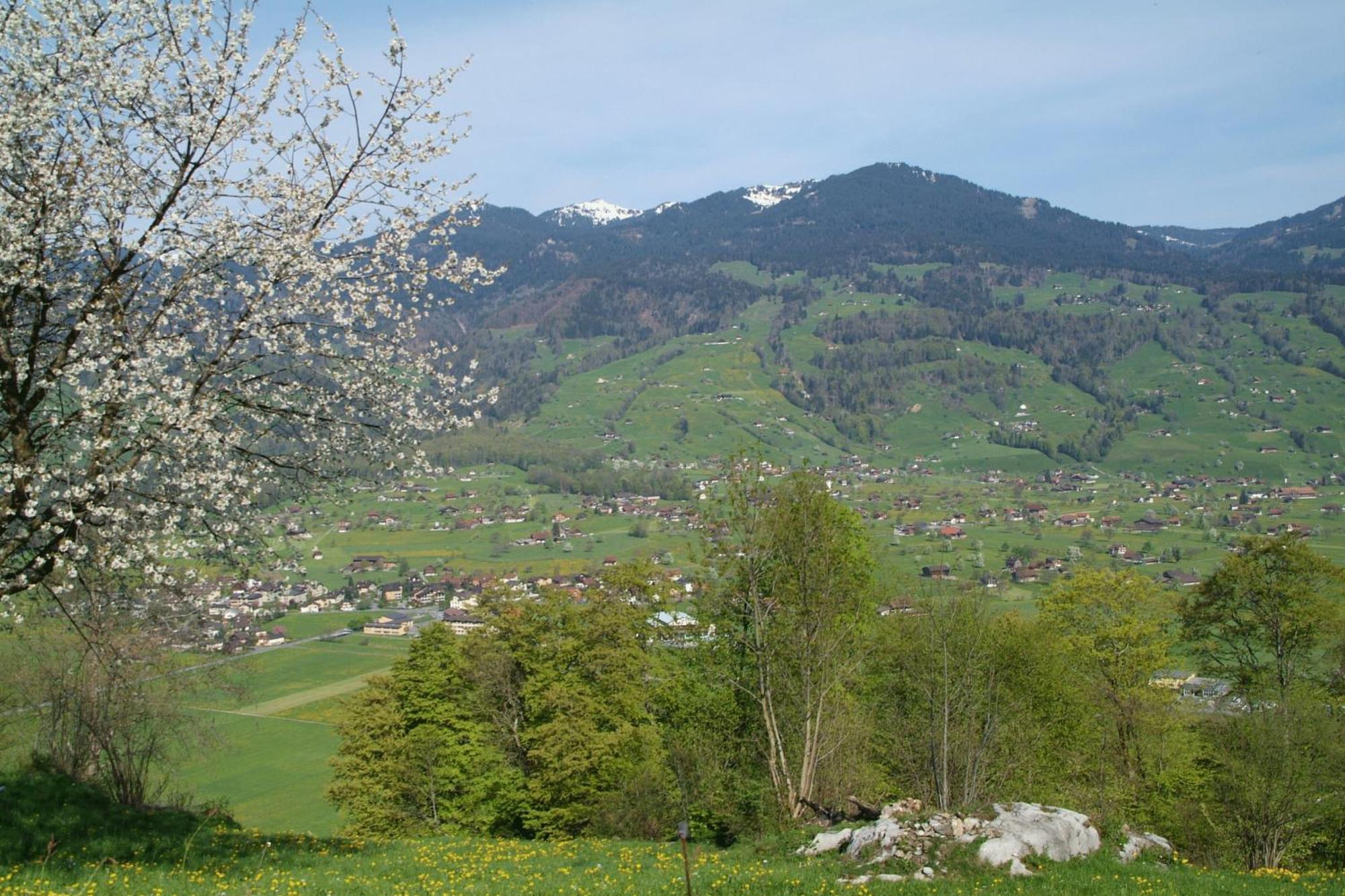 Landgasthof Grossteil Giswil Exterior photo